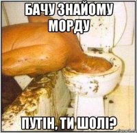 бачу знайому морду путін, ти шолі?