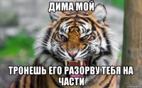 дима мой тронешь его разорву тебя на части