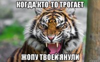 когда кто-то трогает жопу твоей янули