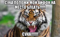 сука положи мой айфон на место блеать!!!!! сука!!!!!!