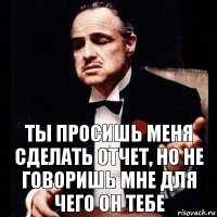 Ты просишь меня сделать отчет, но не говоришь мне для чего он тебе