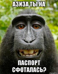 азиза ты на паспорт сфоталась?