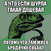 а что если шурпа такая дешевая потому что там мясо бродячих собак?