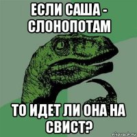 если саша - слонопотам то идет ли она на свист?