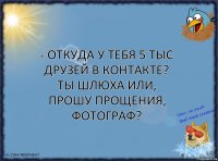 - Откуда у тебя 5 тыс друзей в контакте? Ты шлюха или, прошу прощения, фотограф?