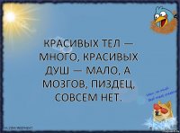 Красивых тел — много, красивых душ — мало, а мозгов, пиздец, совсем нет.