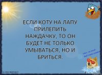 Если коту на лапу прилепить наждачку, то он будет не только умываться, но и бриться.