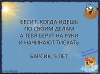 Бесит, когда идешь по своим делам
а тебя берут на руки и начинают тискать .
Барсик, 5 лет