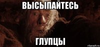 высыпайтесь глупцы