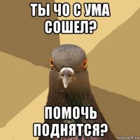 ты чо с ума сошел? помочь поднятся?