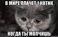 в мире плачет 1 котик когда ты молчишь