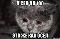 9 сек до 100 это же как осел