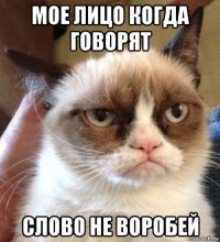 мое лицо когда говорят слово не воробей