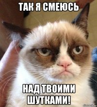 так я смеюсь над твоими шутками!