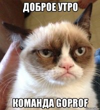 доброе утро команда goprof