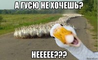 а гусю не хочешь? неееее???