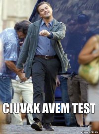 Ciuvak avem test