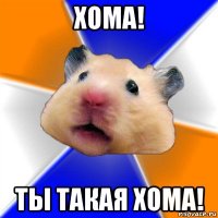 хома! ты такая хома!