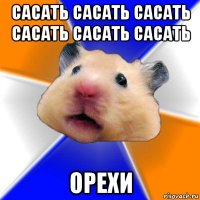 сасать сасать сасать сасать сасать сасать орехи