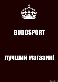 BUDOSPORT лучший магазин!