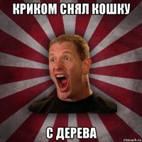 криком снял кошку с дерева