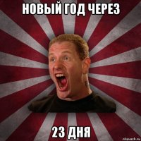 новый год через 23 дня