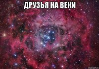 друзья на веки 