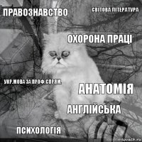 Правознавство Анатомія Охорона праці Психологія Укр.мова за проф.спрям. Світова література Англійська   