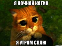 я ночной котик я утром сплю