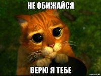 не обижайся верю я тебе