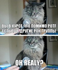 Вы в курсе что помимо POTF есть еще другие рок группы Oh realy?