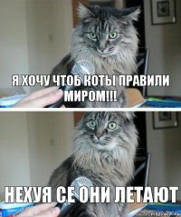 я хочу чтоб коты правили миром!!! нехуя се они летают