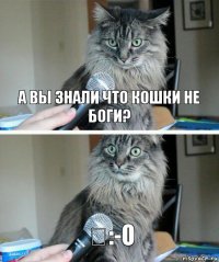 А вы знали что кошки не боги? ˂:-о