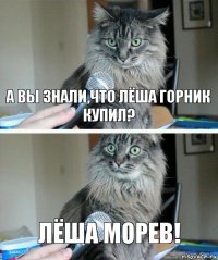 А вы знали,что Лёша горник купил? Лёша Морев!