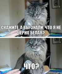 скажите, а вы знали, что я не чёрно белая? что?