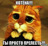 котёна!!! ты просто прелесть!!!