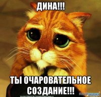 дина!!! ты очаровательное создание!!!