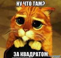 ну что там? за квадратом