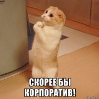  скорее бы корпоратив!