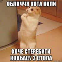 обличчя кота коли хоче стеребити ковбасу з стола