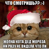 что смотришь?? :-) жопка кота дед мороза ни разу не видела что ли