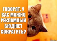 Говорят, у вас можно рекламный бюджет сократить?