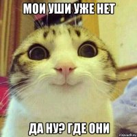 мои уши уже нет да ну? где они