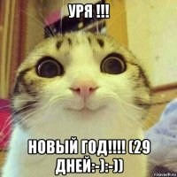 уря !!! новый год!!!! (29 дней:-):-))