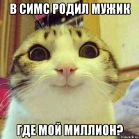 в симс родил мужик где мой миллион?