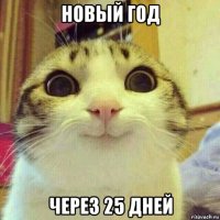 новый год через 25 дней