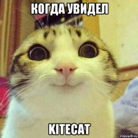 когда увидел kitecat