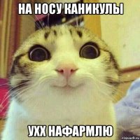 на носу каникулы ухх нафармлю