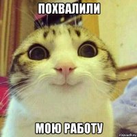 похвалили мою работу