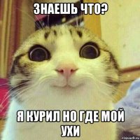 знаешь что? я курил но где мой ухи